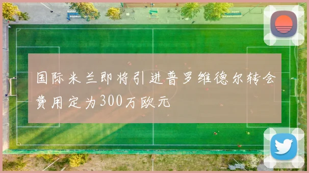 国际米兰即将引进普罗维德尔转会费用定为300万欧元